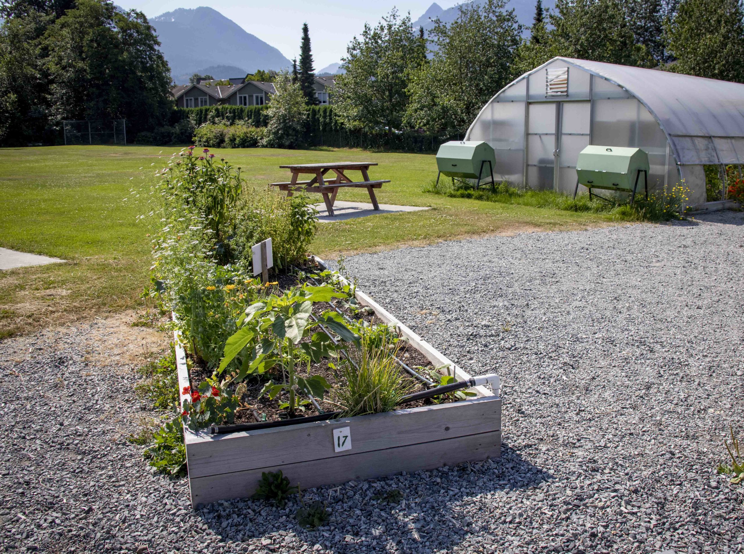 A Tour of the Mamquam Edible School Yard – SCF Grant Recipient