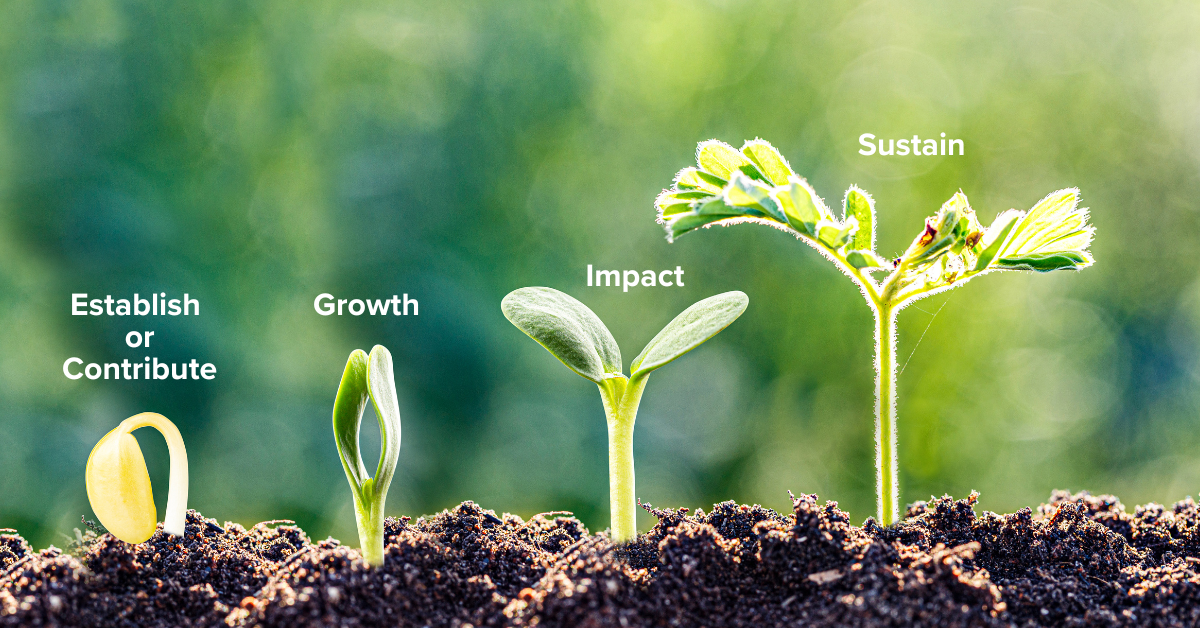 Seed Growing Over Time