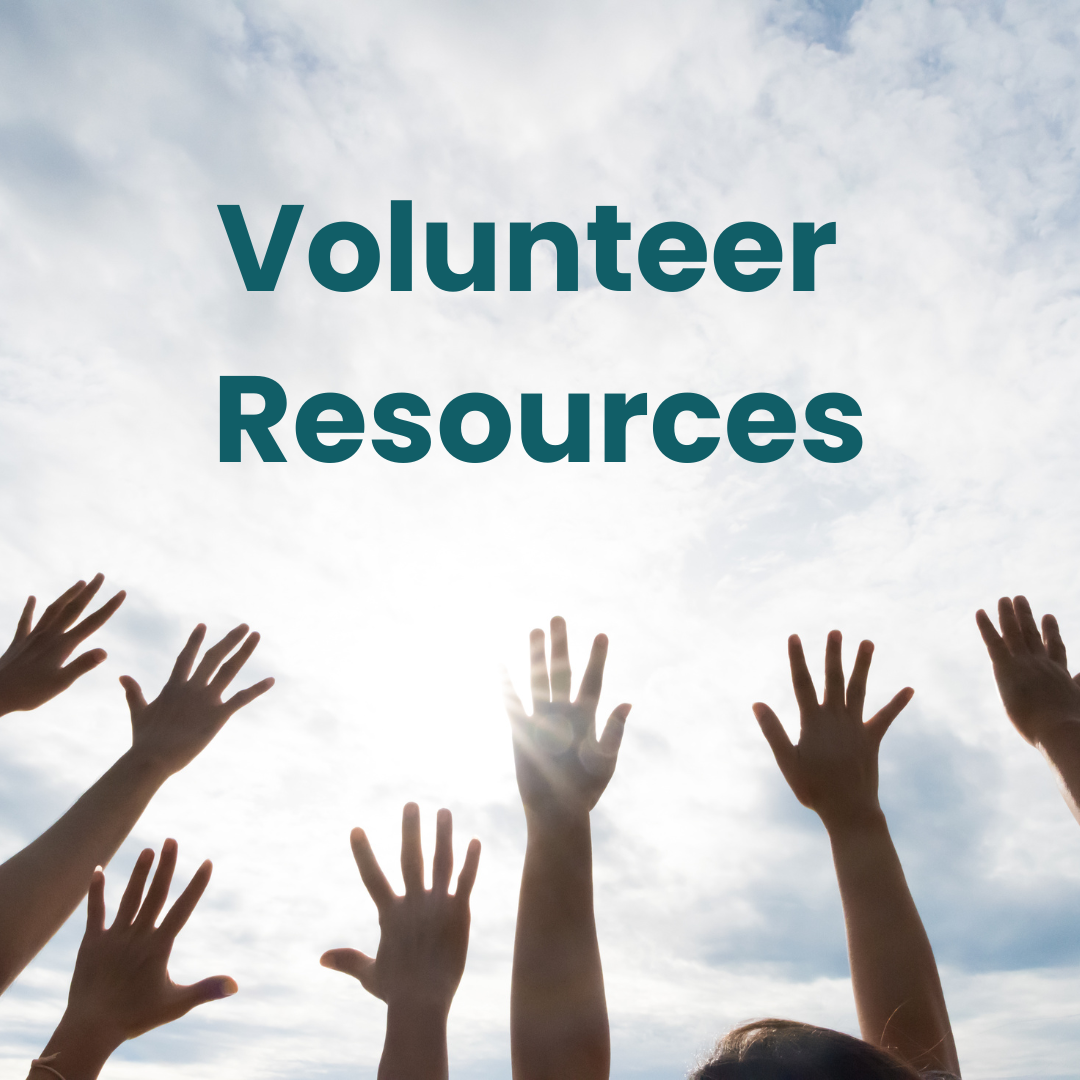 Hands in the Air and Volunteer Resources written out